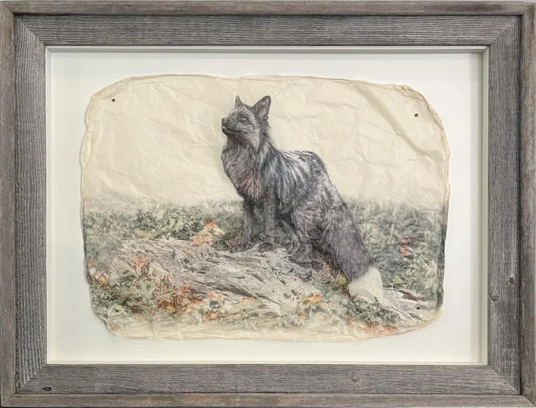 Silver Serenity in Barnwood