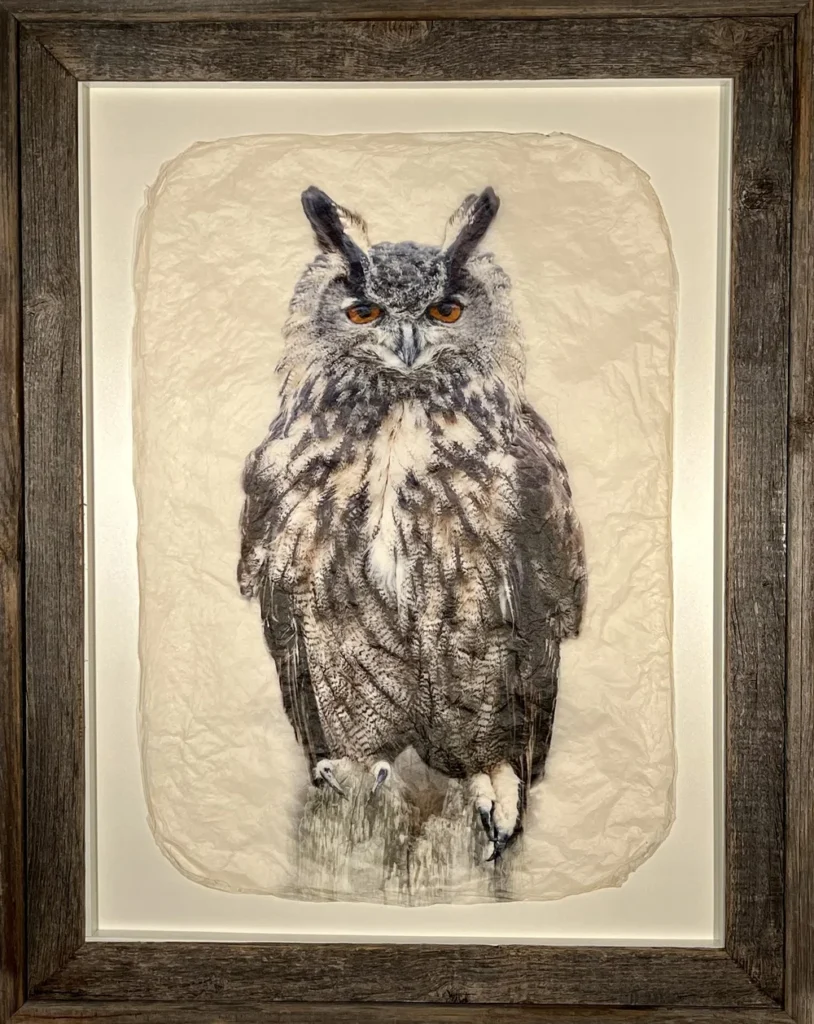 "Autumns Gaze" in Rustic Barnwood