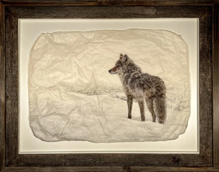 "Daydreamer" in Rustic Barnwood
