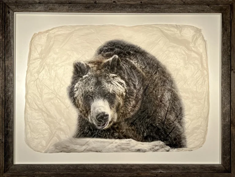 Grinning+Griz+Barnwood (1)