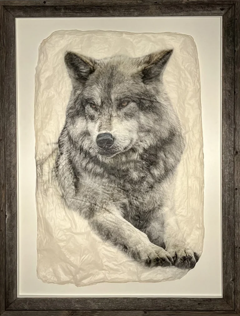 "Noble Gray" in Rustic Barnwood