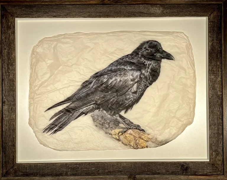 "The Raven" in Rustic Barnwood